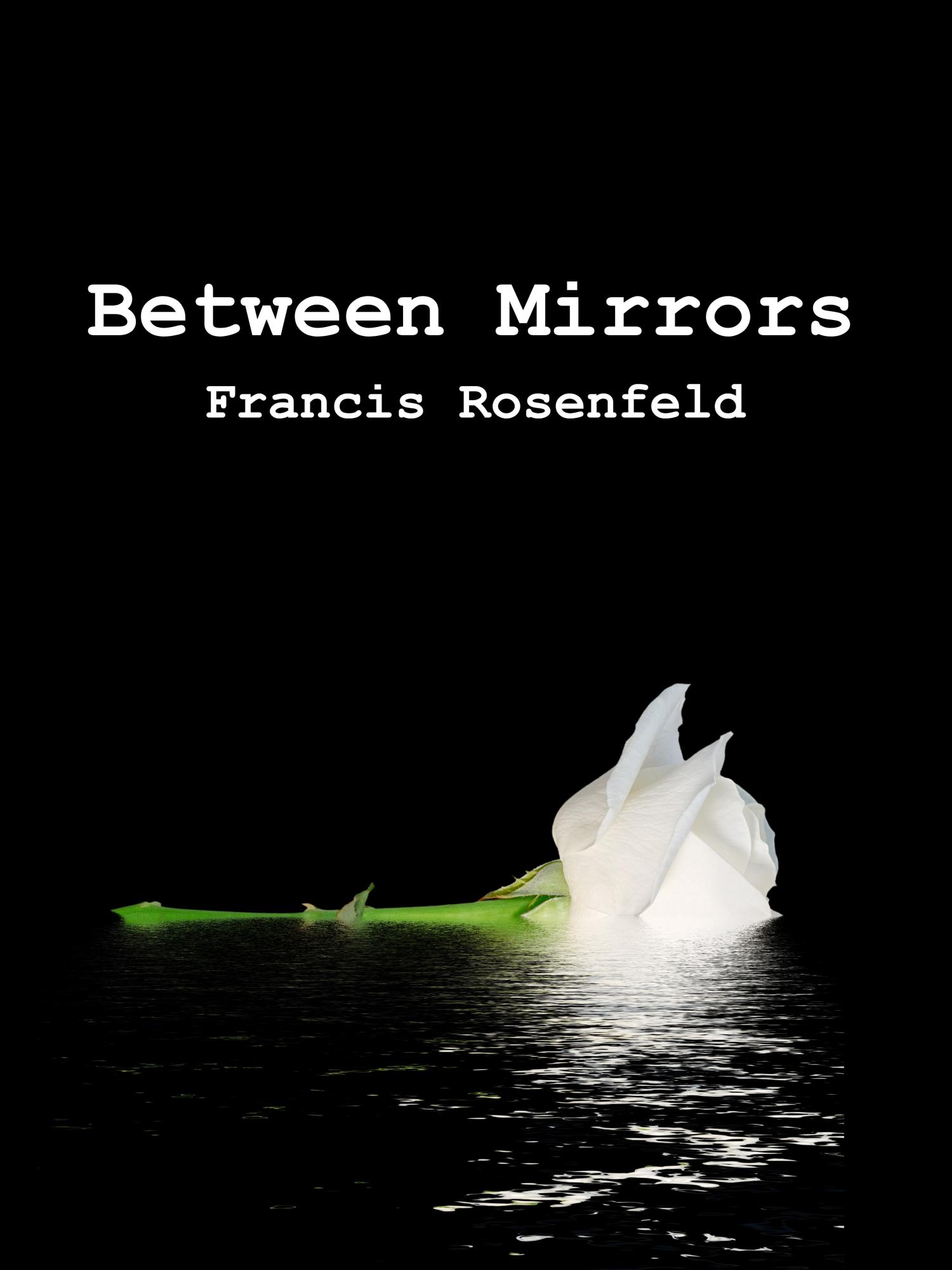 Between Mirrors by Francis Rosenfeld