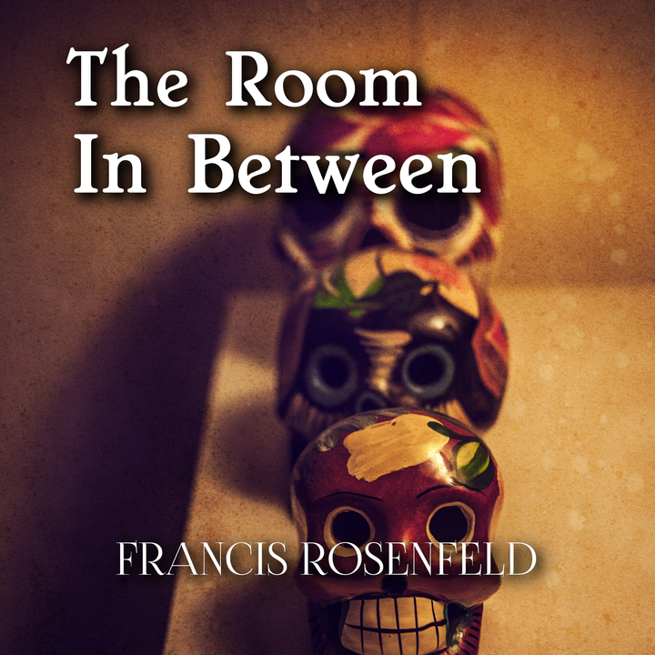 The Room in Between by Francis Rosenfeld